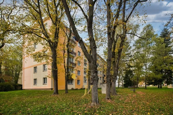 1920x1920wm1-b9878-prodej-byty-1-1-delnicka-olomouc-nova-ulice-pand1056-1cfb014344-1112685333