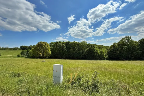 1920x1920wm1-c595c-prodej-pozemek-44-238-m2-zemedelska-usedlost-ovcin-hlubocky-img-7963-abf735d8d6-62228246-1